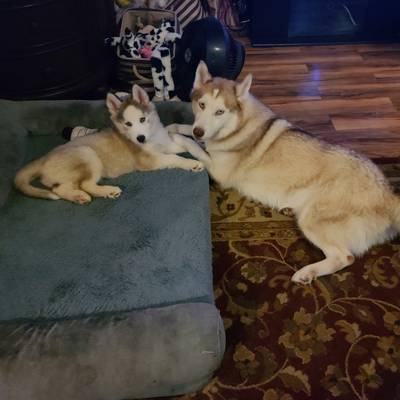 Meet your Posher, Michele π - Picture 14 of 16